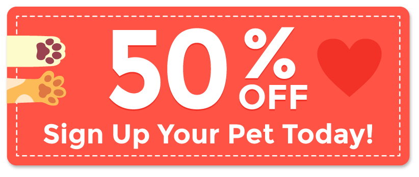 50% OFF Sign up your pet today!