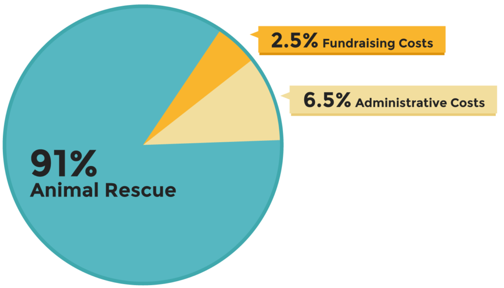 91% Animal Rescue, 2.5% Fundraising Costs and 6.5% Administrative Costs